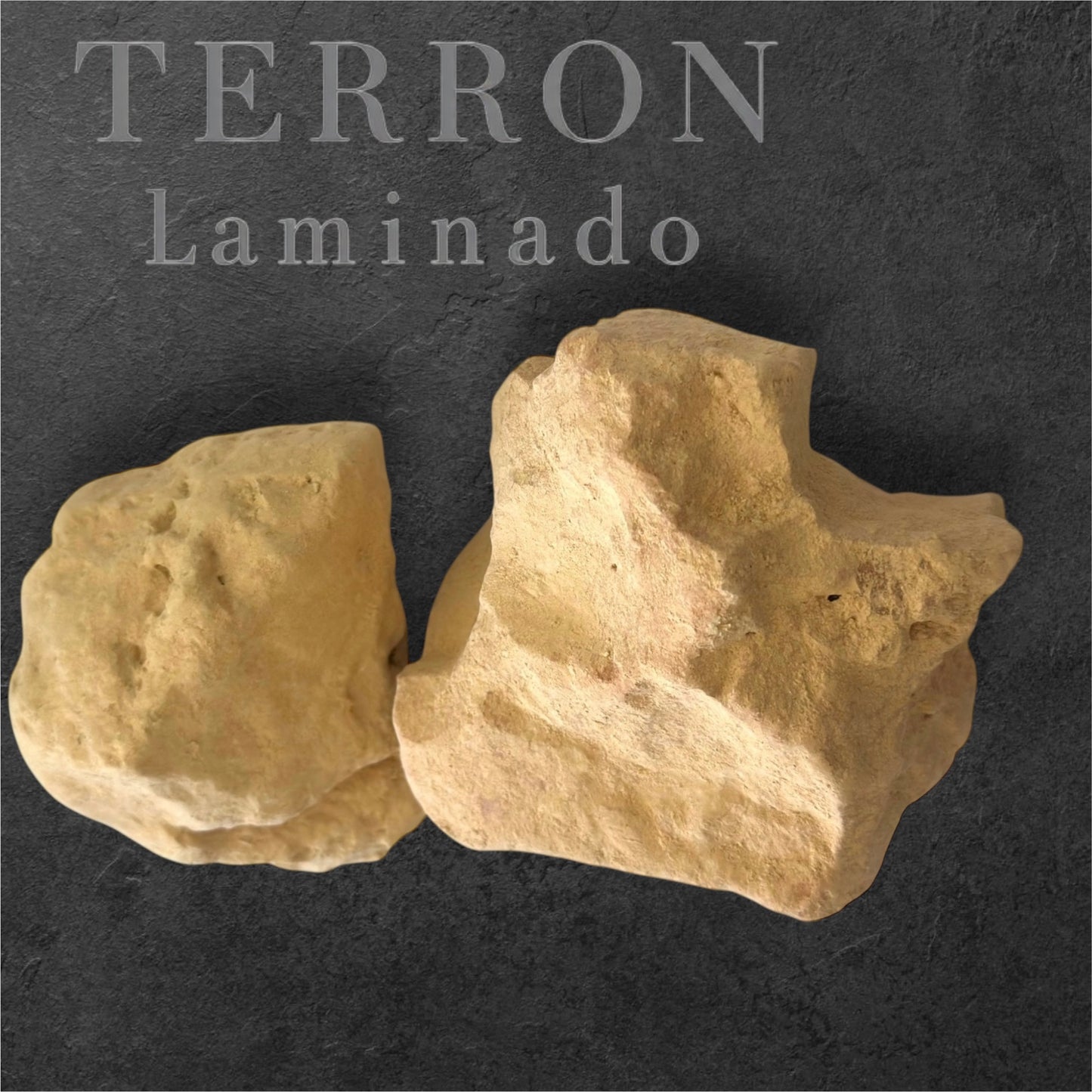Terrón Vainilla