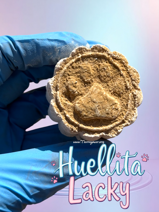 Huellita Lacky