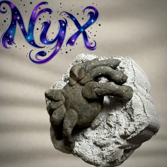 NYX Humo