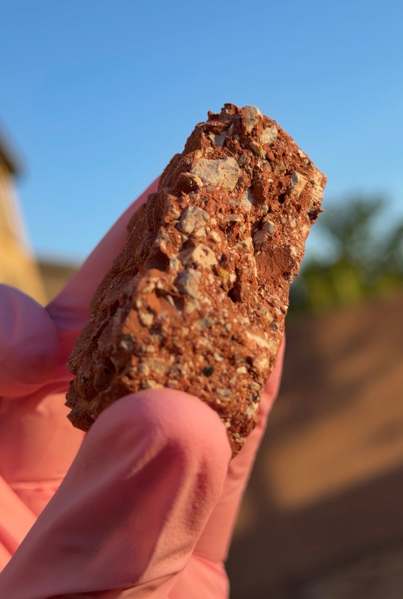 Galletas Red Clay