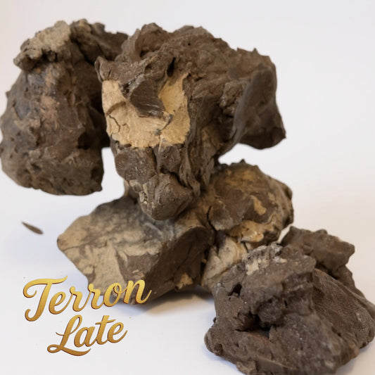 Terron Late