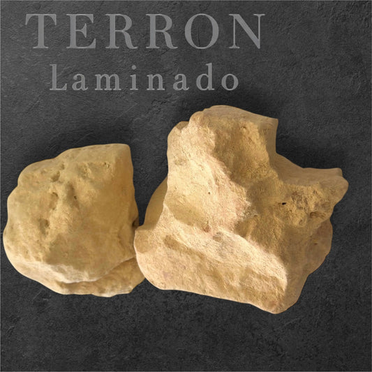 Terrón Vainilla