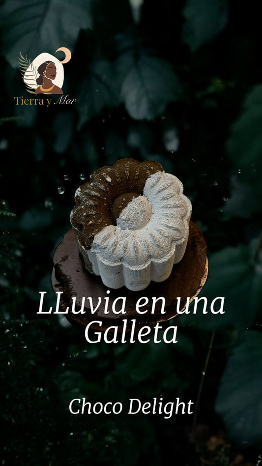 Galleta Choco Delight