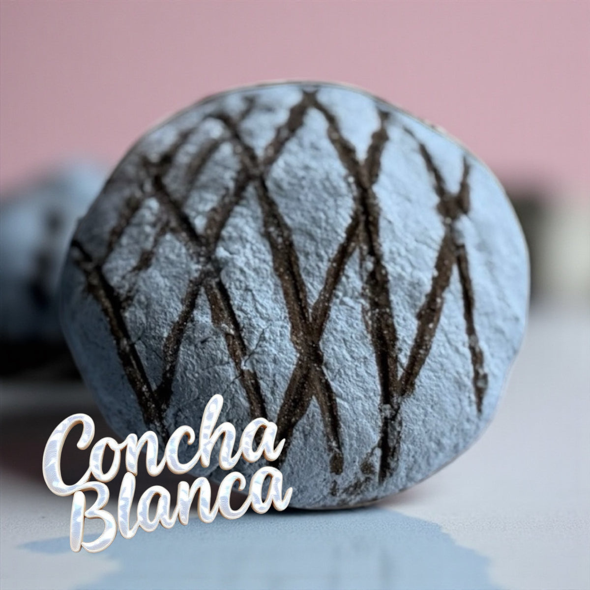 Concha Blanca
