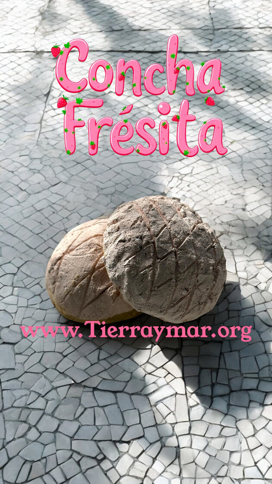 Concha Fresita 🍓