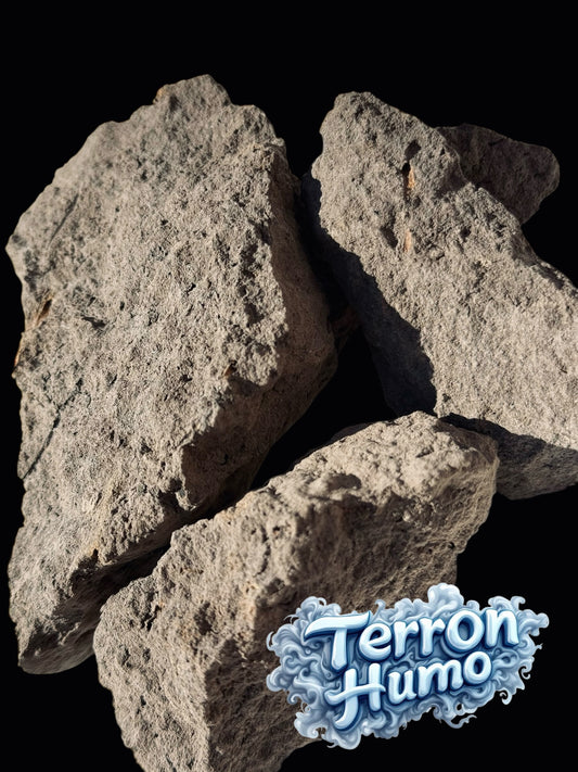 Terron Humo