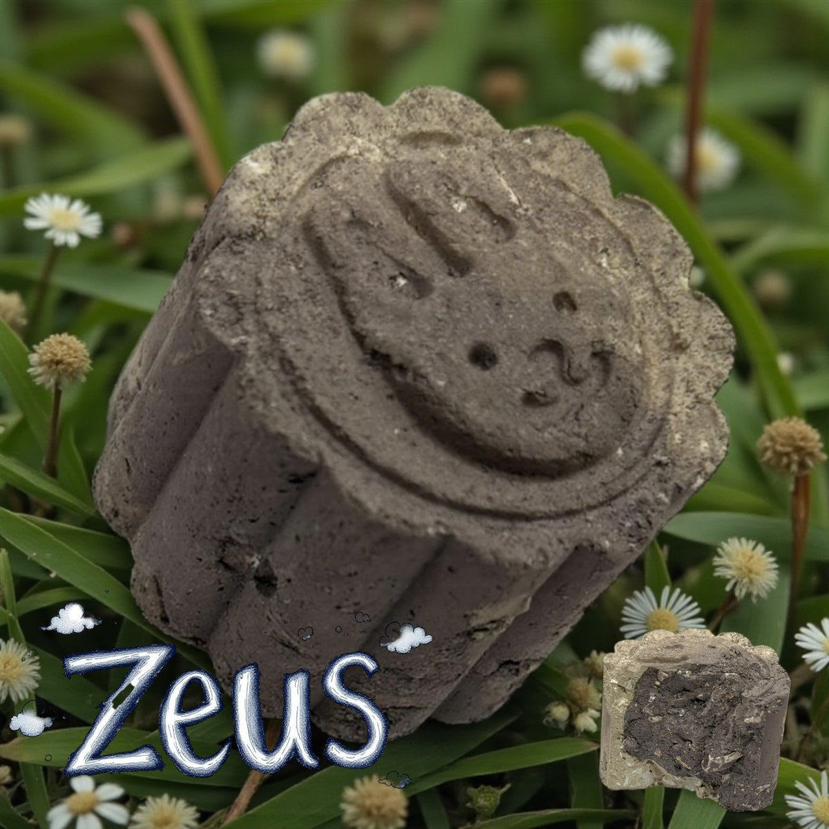 ZEUs