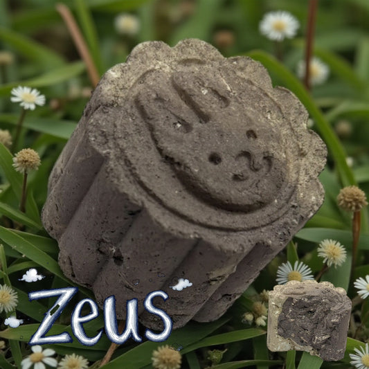 ZEUs
