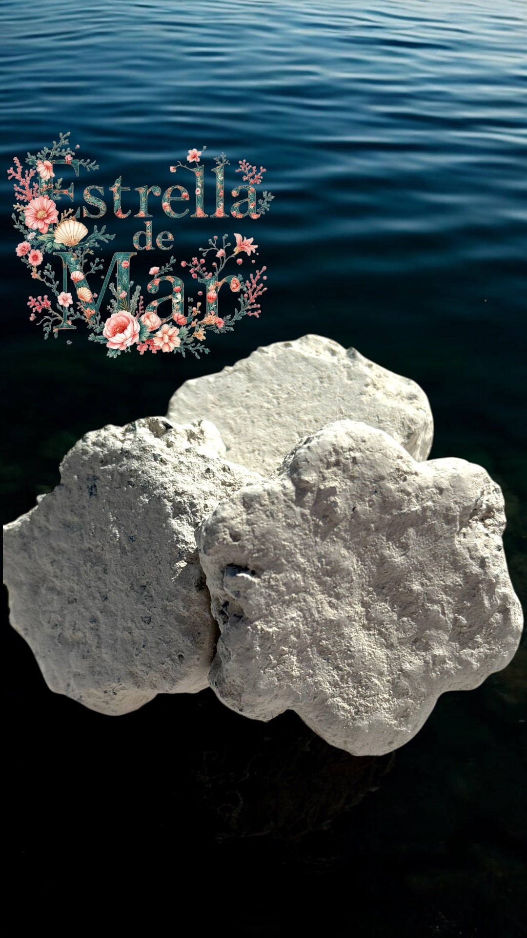 Estrella De Mar